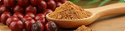 Saw Palmetto Extract